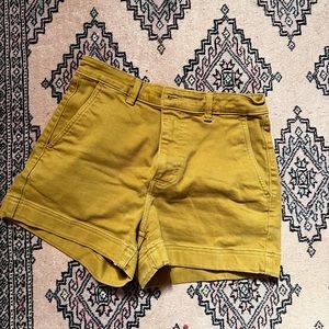 Everlane shorts
